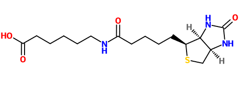 (image for) MC085035 N-(+)-Biotinyl-6-aminohexanoic acid